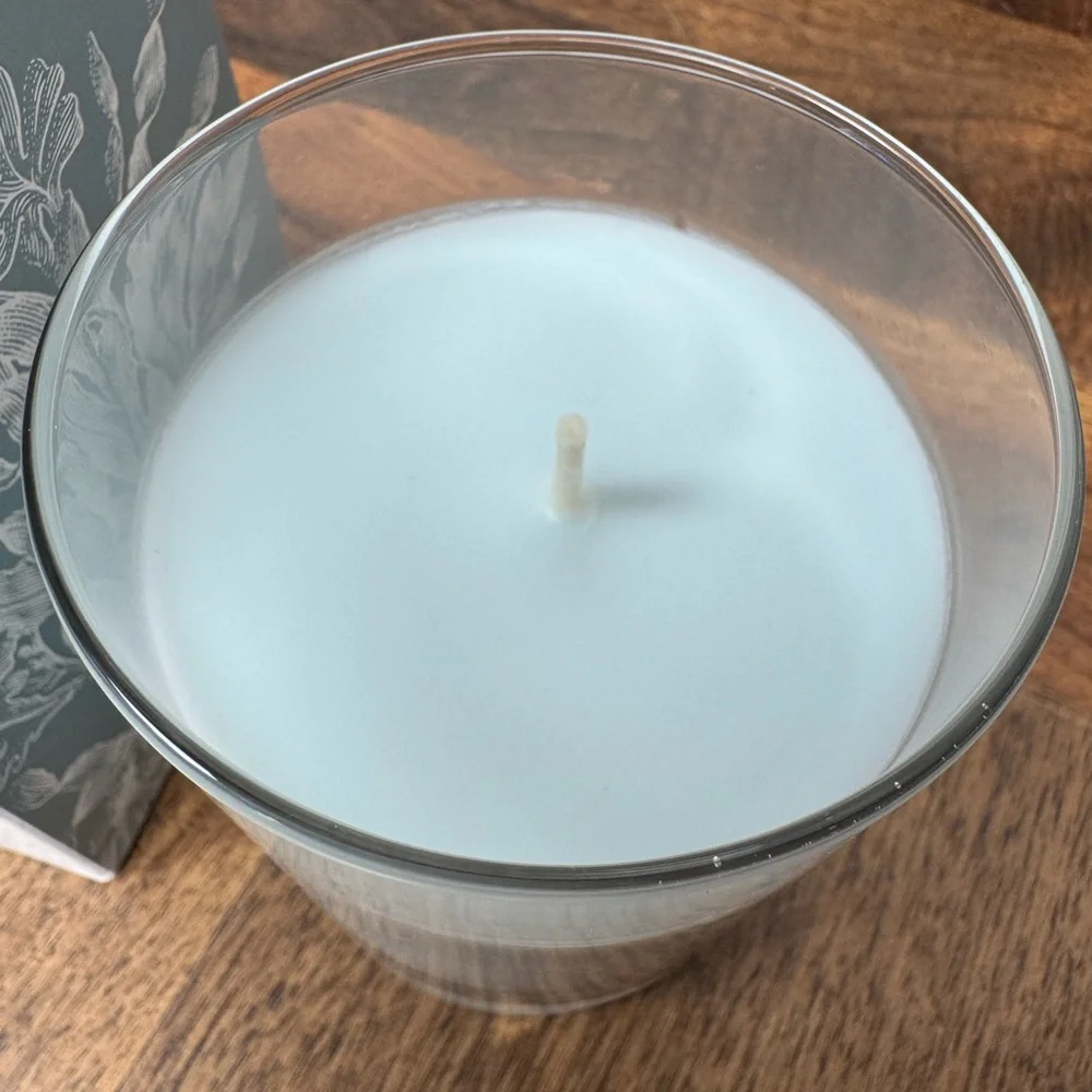 Williams Sonoma Fleur de Sel Candle